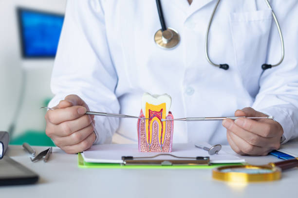 Best Emergency Tooth Extraction in Brooksville, FL